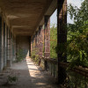 Beelitz Heilstätten
